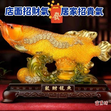 魚生小魚風水|招財魚種大公開